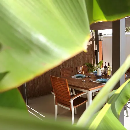 Apartment Garden House